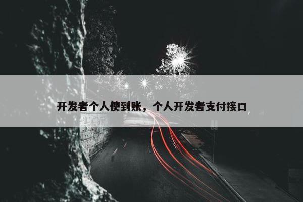 开发者个人使到账，个人开发者支付接口