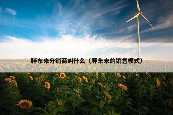 胖东来分销商叫什么（胖东来的销售模式）
