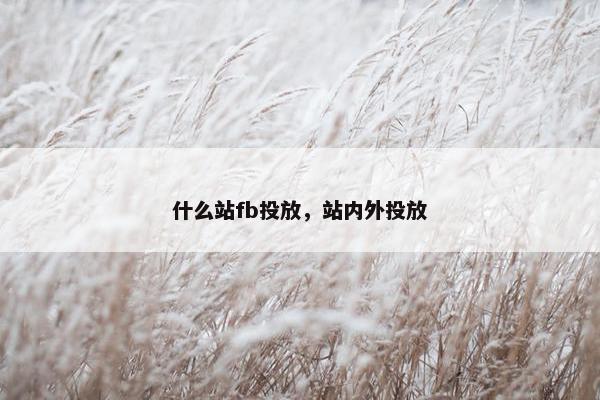 什么站fb投放，站内外投放