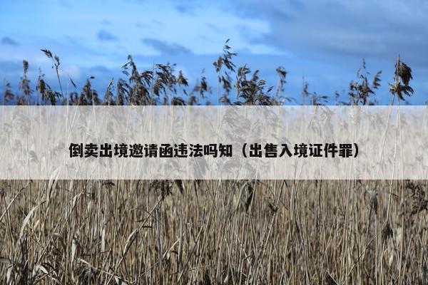 倒卖出境邀请函违法吗知（出售入境证件罪）