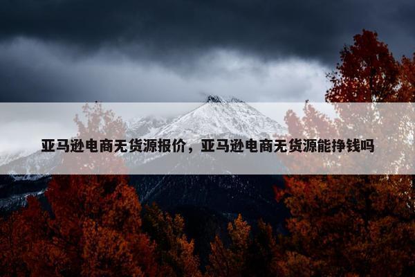 亚马逊电商无货源报价，亚马逊电商无货源能挣钱吗