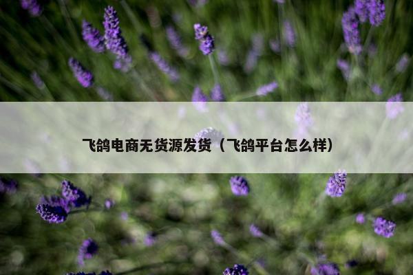 飞鸽电商无货源发货（飞鸽平台怎么样）