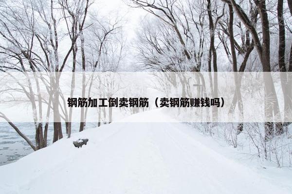钢筋加工倒卖钢筋（卖钢筋赚钱吗）