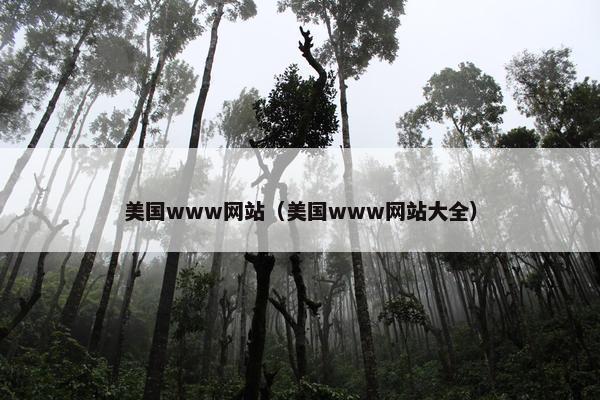 美国www网站（美国www网站大全）