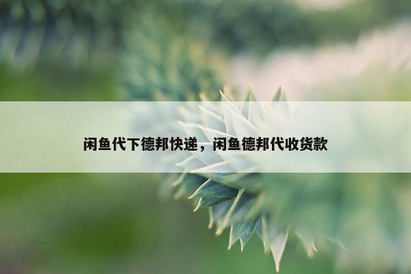 闲鱼代下德邦快递，闲鱼德邦代收货款