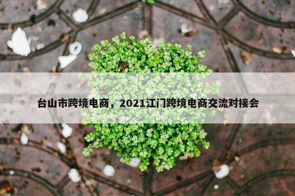 台山市跨境电商，2021江门跨境电商交流对接会