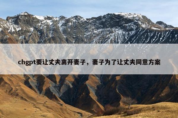 chgpt要让丈夫离开妻子，妻子为了让丈夫同意方案