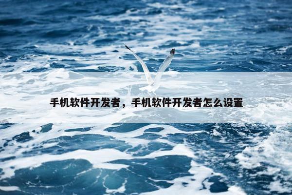 手机软件开发者，手机软件开发者怎么设置