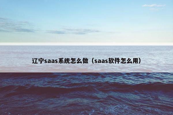辽宁saas系统怎么做（saas软件怎么用）