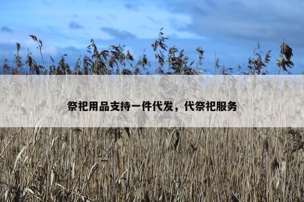 祭祀用品支持一件代发，代祭祀服务