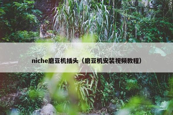 niche磨豆机插头（磨豆机安装视频教程）