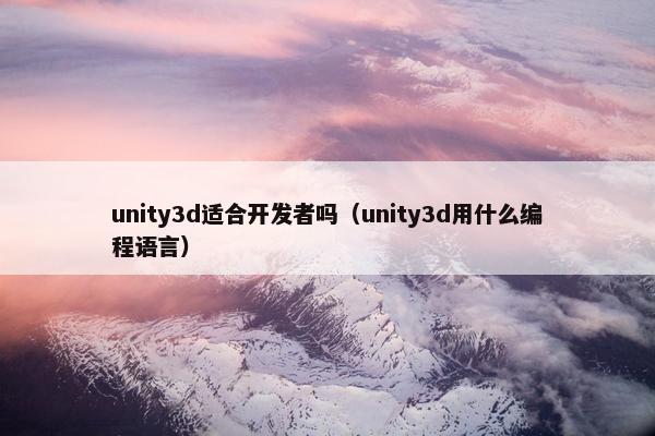 unity3d适合开发者吗（unity3d用什么编程语言）