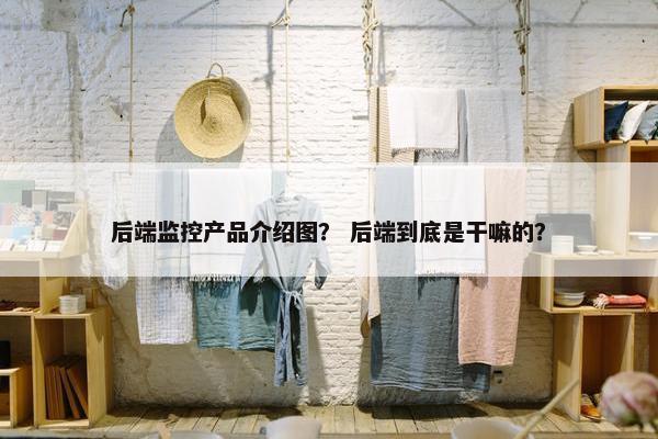 后端监控产品介绍图？ 后端到底是干嘛的？
