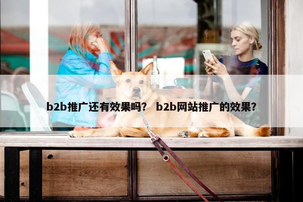 b2b推广还有效果吗？ b2b网站推广的效果？
