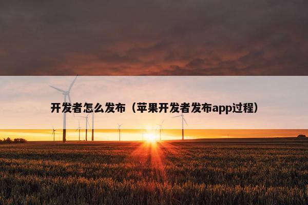 开发者怎么发布（苹果开发者发布app过程）