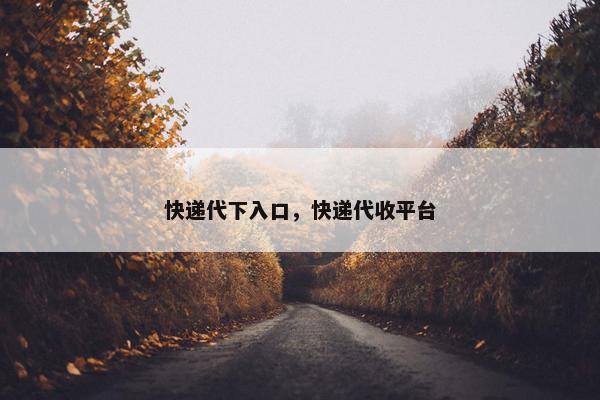快递代下入口，快递代收平台