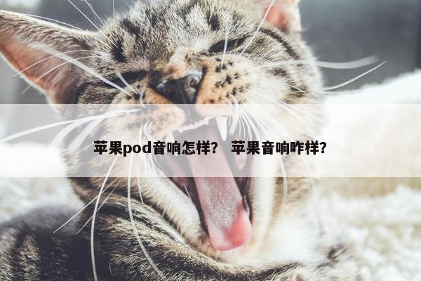 苹果pod音响怎样？ 苹果音响咋样？
