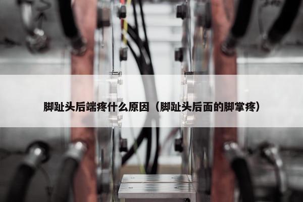 脚趾头后端疼什么原因（脚趾头后面的脚掌疼）