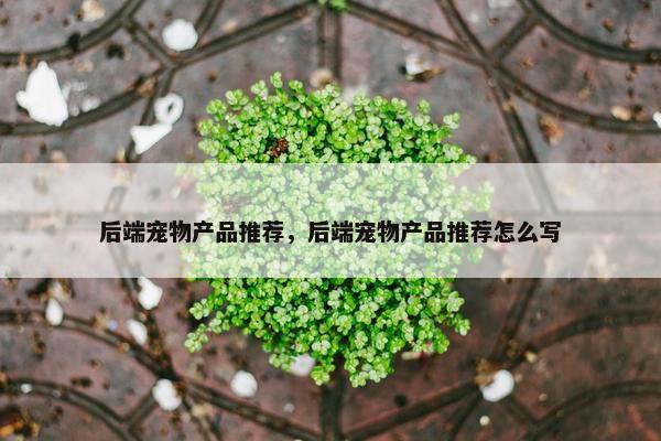 后端宠物产品推荐，后端宠物产品推荐怎么写