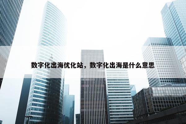 数字化出海优化站，数字化出海是什么意思
