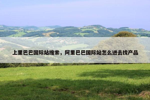 上里巴巴国际站搜索，阿里巴巴国际站怎么进去找产品