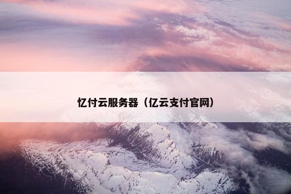 忆付云服务器（亿云支付官网）