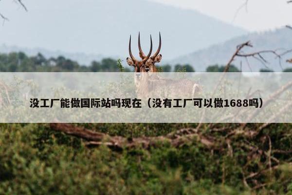 没工厂能做国际站吗现在（没有工厂可以做1688吗）