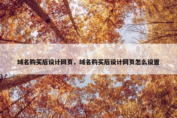 域名购买后设计网页，域名购买后设计网页怎么设置