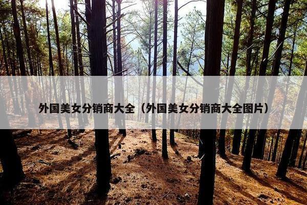 外国美女分销商大全（外国美女分销商大全图片）
