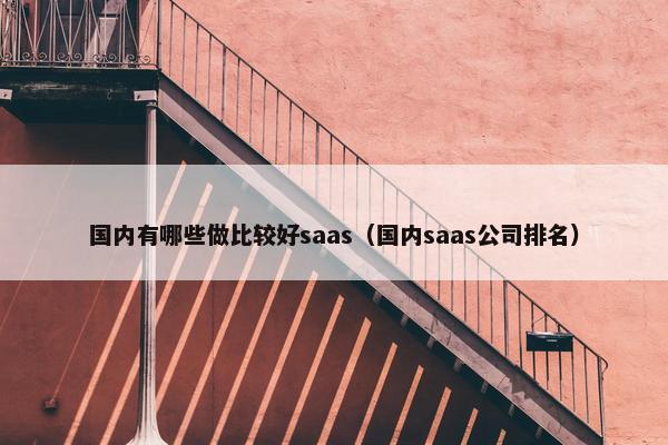 国内有哪些做比较好saas（国内saas公司排名）