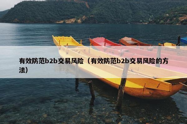 有效防范b2b交易风险（有效防范b2b交易风险的方法）