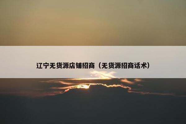 辽宁无货源店铺招商（无货源招商话术）