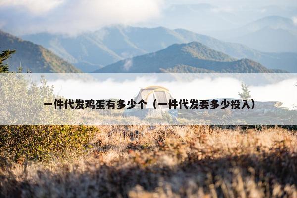 一件代发鸡蛋有多少个（一件代发要多少投入）