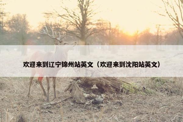 欢迎来到辽宁锦州站英文（欢迎来到沈阳站英文）