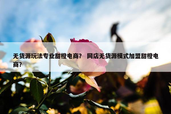 无货源玩法专业甜橙电商？ 网店无货源模式加盟甜橙电商？