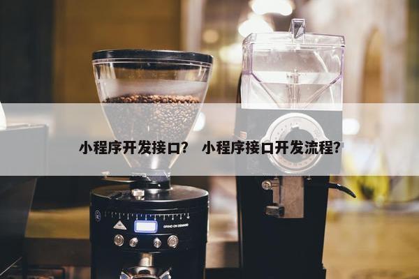小程序开发接口？ 小程序接口开发流程？