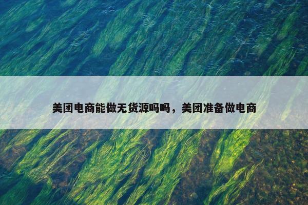 美团电商能做无货源吗吗，美团准备做电商