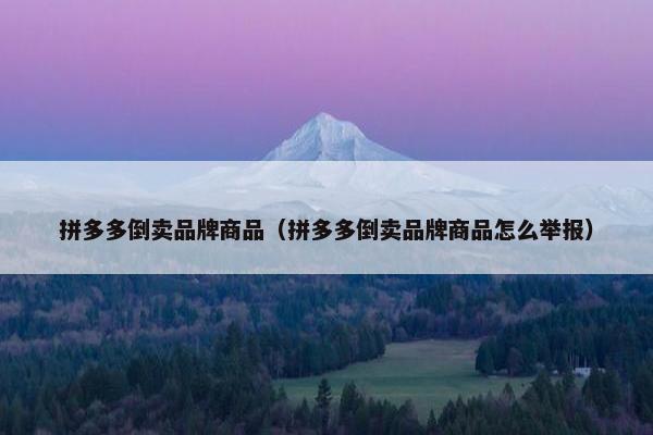 拼多多倒卖品牌商品（拼多多倒卖品牌商品怎么举报）