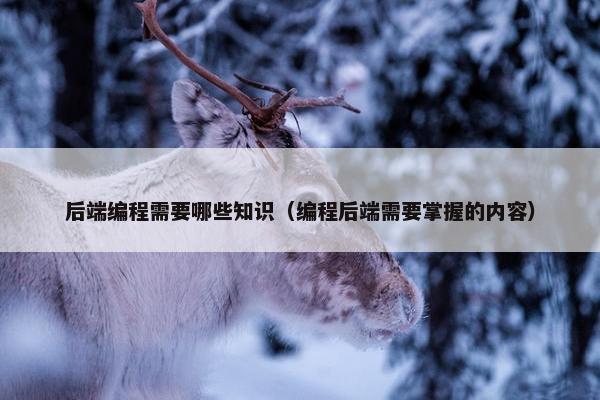 后端编程需要哪些知识（编程后端需要掌握的内容）