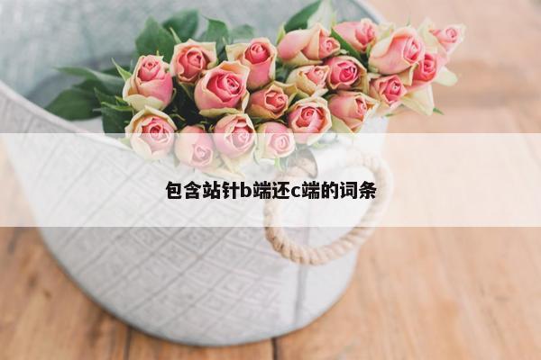 包含站针b端还c端的词条