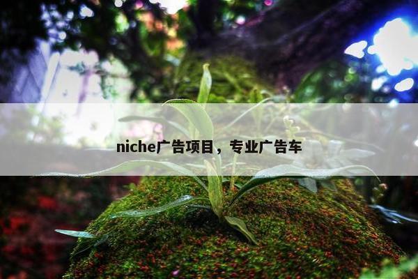 niche广告项目，专业广告车