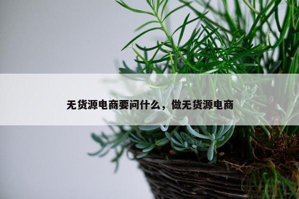 无货源电商要问什么，做无货源电商