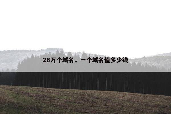 26万个域名，一个域名值多少钱