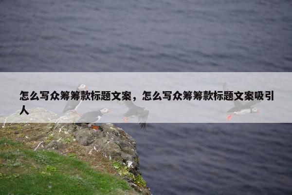 怎么写众筹筹款标题文案，怎么写众筹筹款标题文案吸引人