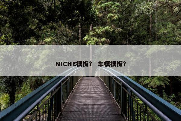 NICHE模板？ 车模模板？
