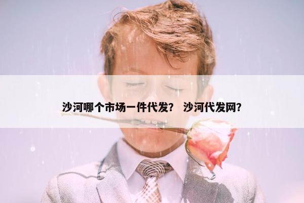 沙河哪个市场一件代发？ 沙河代发网？