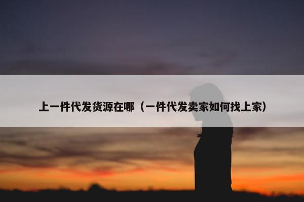 上一件代发货源在哪（一件代发卖家如何找上家）