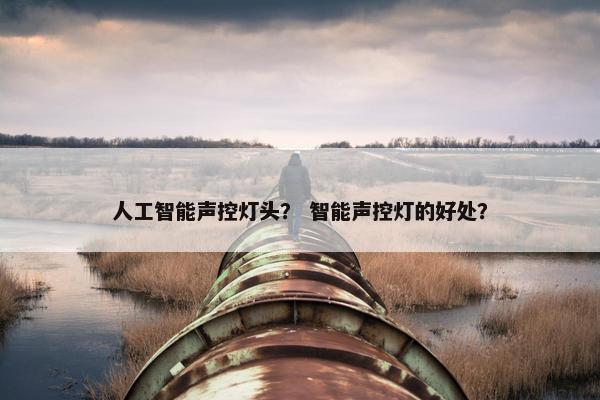 人工智能声控灯头？ 智能声控灯的好处？