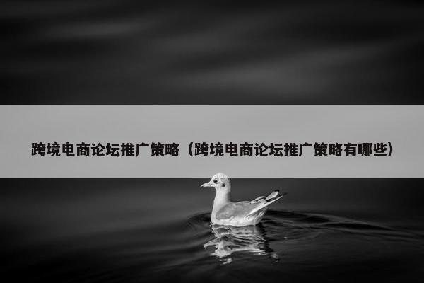 跨境电商论坛推广策略（跨境电商论坛推广策略有哪些）
