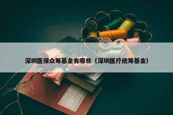 深圳医保众筹基金有哪些（深圳医疗统筹基金）